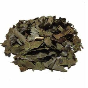 Chá Verde Orgânico - a granel